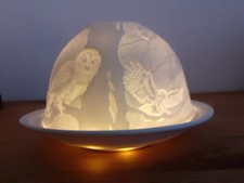 ~ Dome Light Kuppellicht ~ Eule