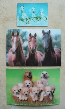 2x 3D Ansichtkarten „Pferde” „Hundewelpen” + 3D Magnet „Pferde”, 3 Teile