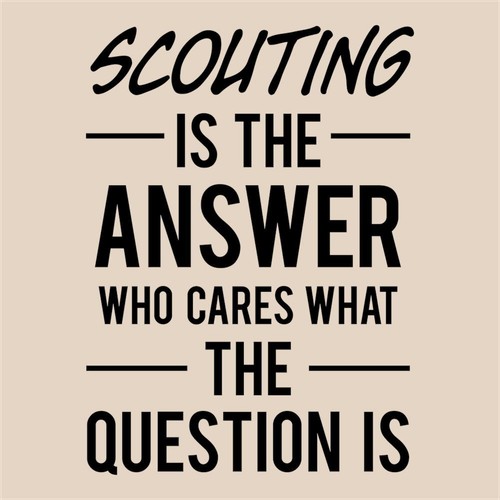 Scouting the answer - is,
