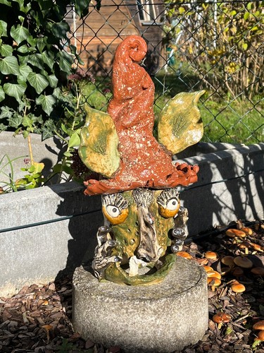 Großer wurzelzwerg ohren - wurzelzwerg,