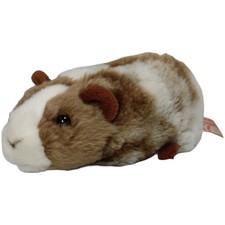 Teddy-Hermann Meerschweinchen