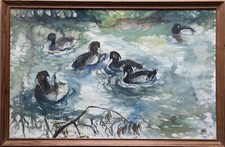 Schwimmende Enten 1956