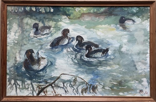 Schwimmende enten 1956 - schwimmende,