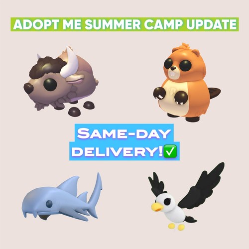 Adopt summer camp - summer,