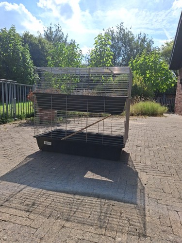 Meerschweinchen käfig für - meerschweinchen,