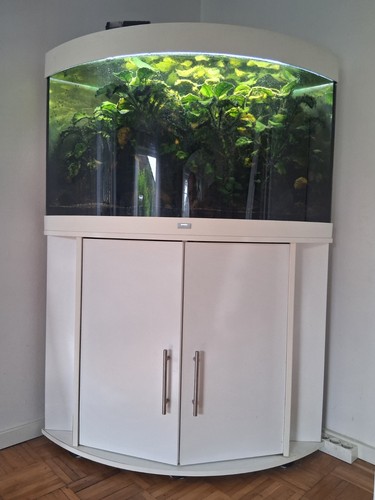 Aquarium eckaquarium mit - eckaquarium,
