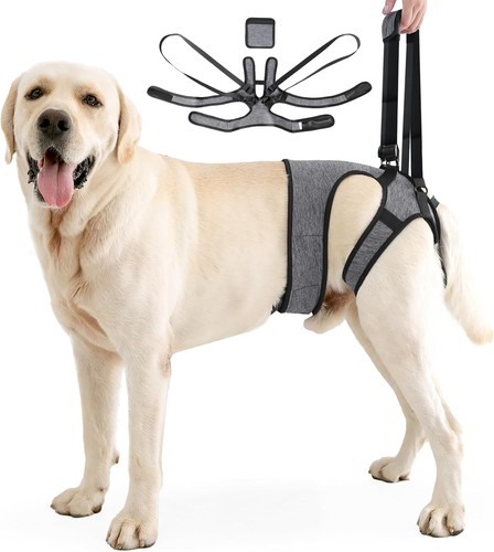 Hundetragehilfe für
