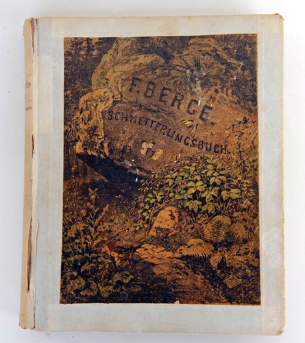 Berge schmetterlings buch - berge,, schmetterlings-buch