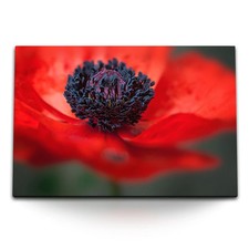 120x80cm Wandbild auf Leinwand