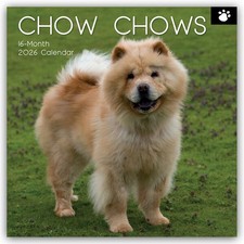 Chow Chows 2026 -
