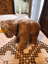 Steiff Bär Jungbär mit Glocke alt aus Sammlung!Sehr schöner Zustand!