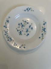 4 Arcoroc Arcopal Veronica