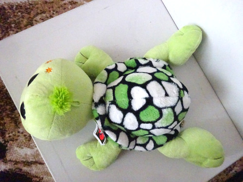 Morgenroth schildkröte mit - morgenroth, xl