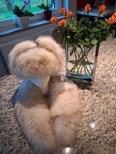 Schapka und Kragen aus Blaufuchs top Zustand Gr. M