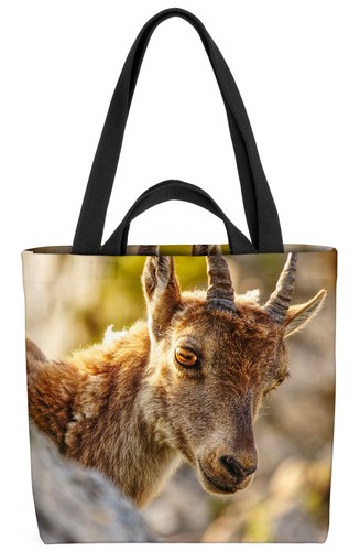Steingeiss steinbock berge - steinbock,