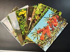 Europa-Bilderdienst - Serie 1-50 "Seltene, geschützte Pflanzen" - Sammelbilder 