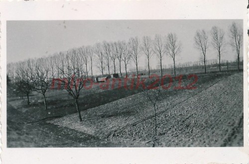 Foto nachl h welscher - foto,, nachl.