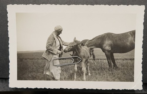 Foto portrait frau - foto, pferd