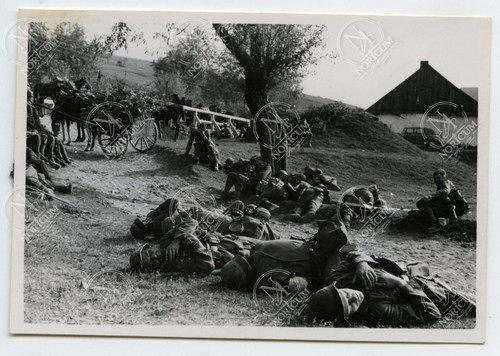 Foto gebirgs division - 2.,