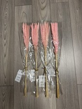 4x Pampasgras Hellrosa a 5