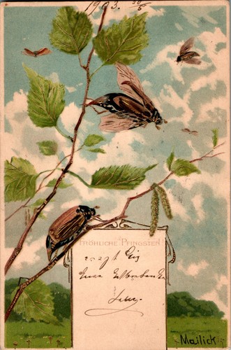 Litho künstlerkarte sig - litho, ak