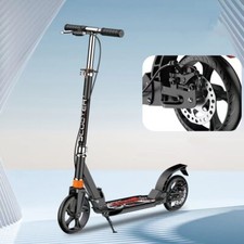 Cityroller Scooter Roller