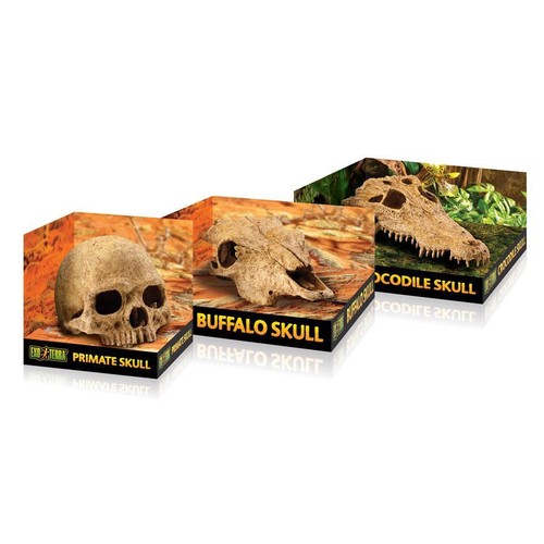 Exo terra primate skull - exo,