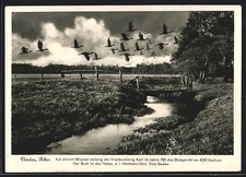 Verden, Flugenten überqueren