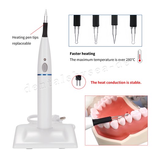 Dental endo gutta percha tooth - dental,