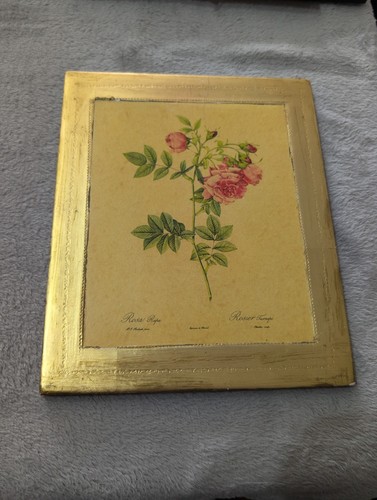 Vintage bild rosa rapa - vintage, p.j
