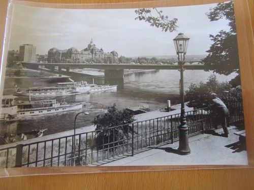 Dresden die dampfer junger - die,