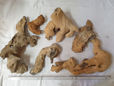 Set 6 Stück Wurzeln Mopani