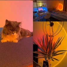 Sunset lamp projection - sunset,