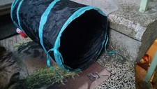 Katzentunnel Interaktives Katzen Spielzeug 