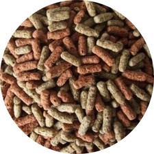 Reptilienfutter Schildkröten