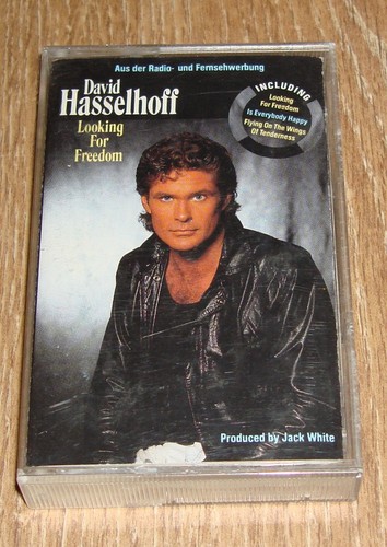 David hasselhoff looking for - david,