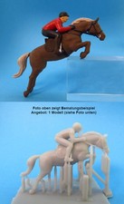 Reiter überspringt Hürde mit