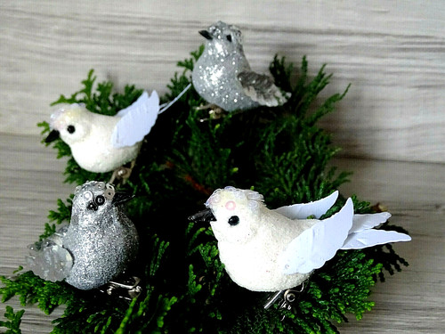 Vögelchen - 4,