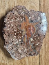 💎 ACHAT Rhyolith ähnl