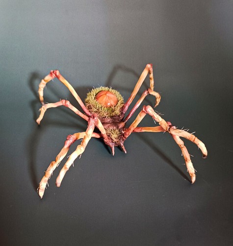 Xxl spinne skulptur - spinne,