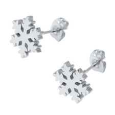 JUNGBRUNN 1056p Eiskristall Snowflake Ohrstecker Bio TCM "Magnetschmuck -4you"