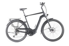 Pegasus Strong EVO 12 Lite -