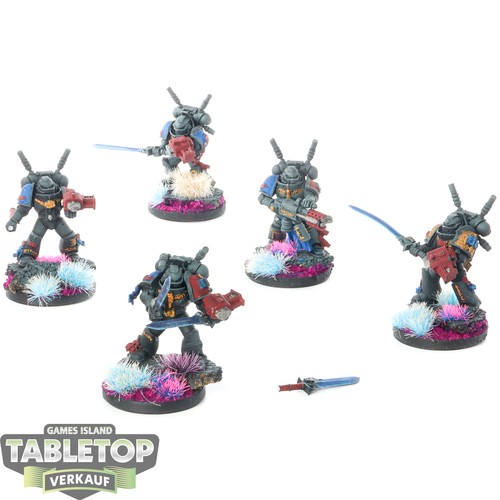 Grey knights - grey,