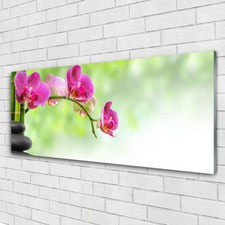 Acrylglasbilder Wandbilder