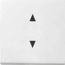 Gira Wippe rws/gl 861603 Taster Schalter Installationsschalterprogramme Wippe