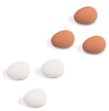 6 Nesteier für Hühner aus