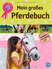 Mein großes pferdebuch - großes, |