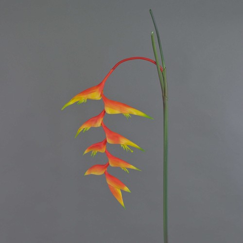 Artplants dekoblume heliconia - artplants,