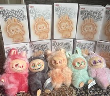  ——-   ((((6 Stück ))))))