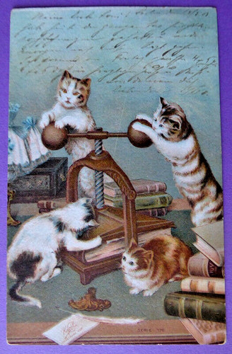 Künstler kleine katzen - ak,